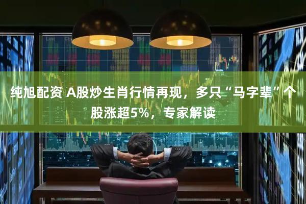 纯旭配资 A股炒生肖行情再现，多只“马字辈”个股涨超5%，专家解读