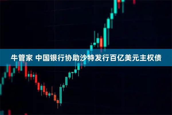 牛管家 中国银行协助沙特发行百亿美元主权债