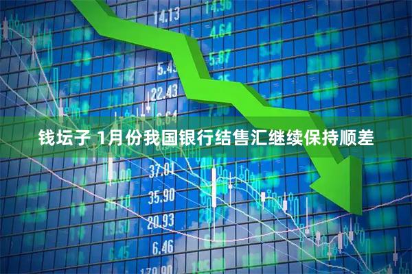 钱坛子 1月份我国银行结售汇继续保持顺差