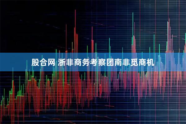 股合网 浙非商务考察团南非觅商机