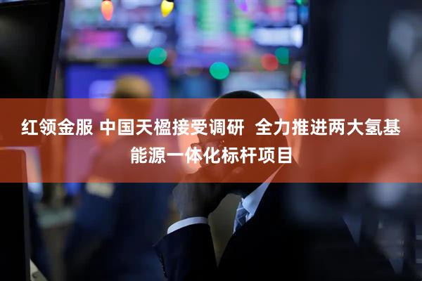 红领金服 中国天楹接受调研  全力推进两大氢基能源一体化标杆项目